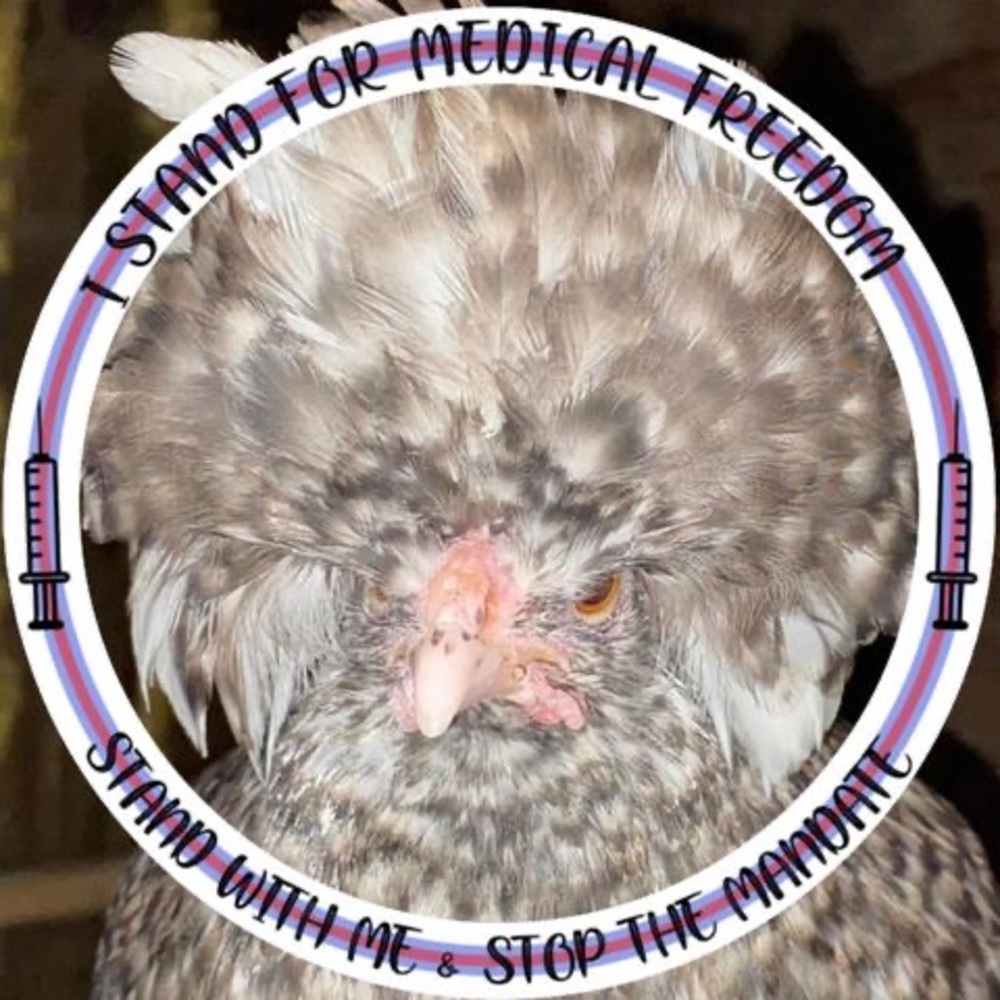 Meet your Posher, Donna